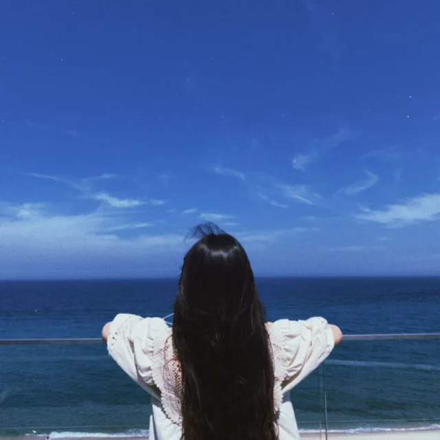 메타몽몽