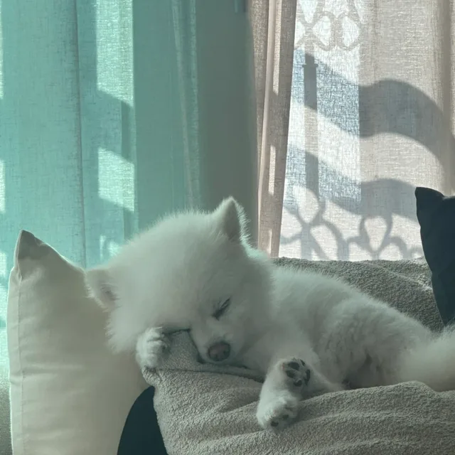 병달이