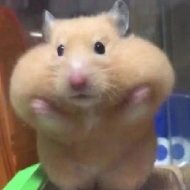 민댕