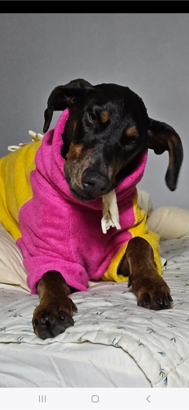 모카