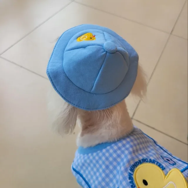 불당동개푸딩