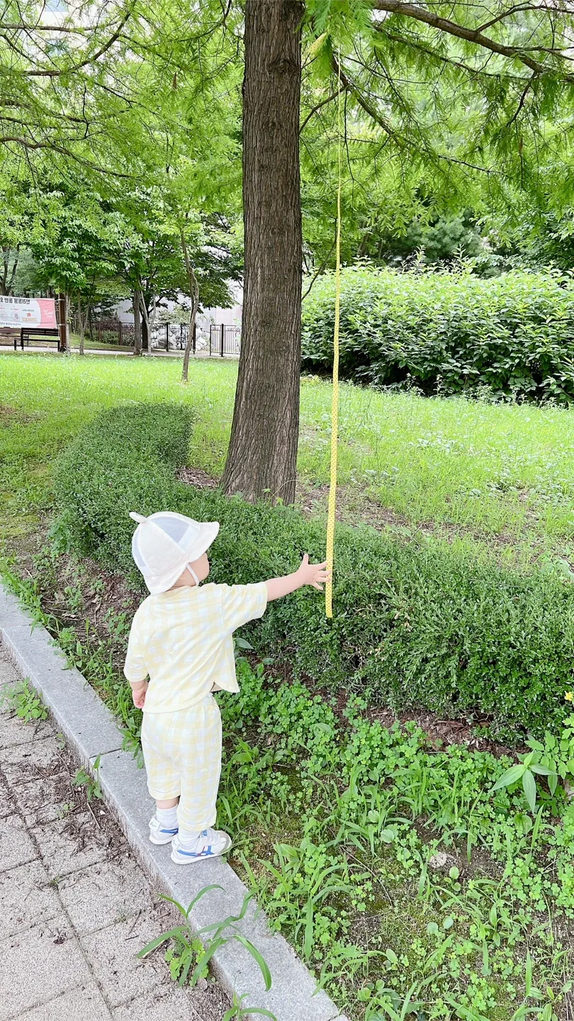 분홍꽃송이
