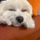 밍사쟝