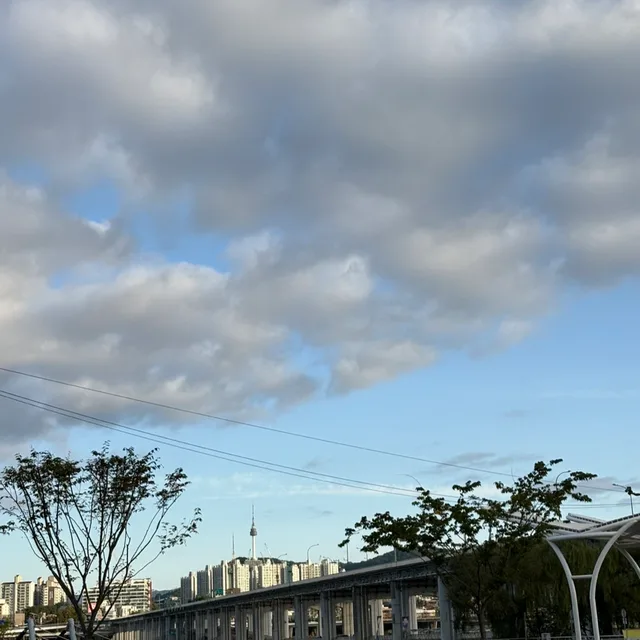 오렌지주스101