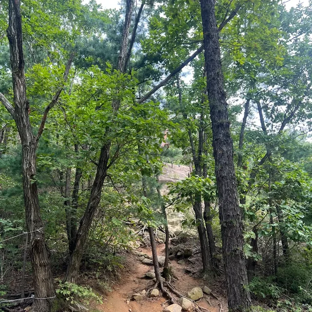 그래그래