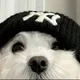 킨더조이