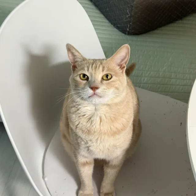 햇님이네