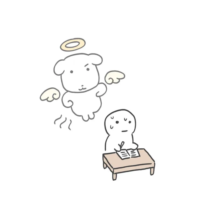 자몽