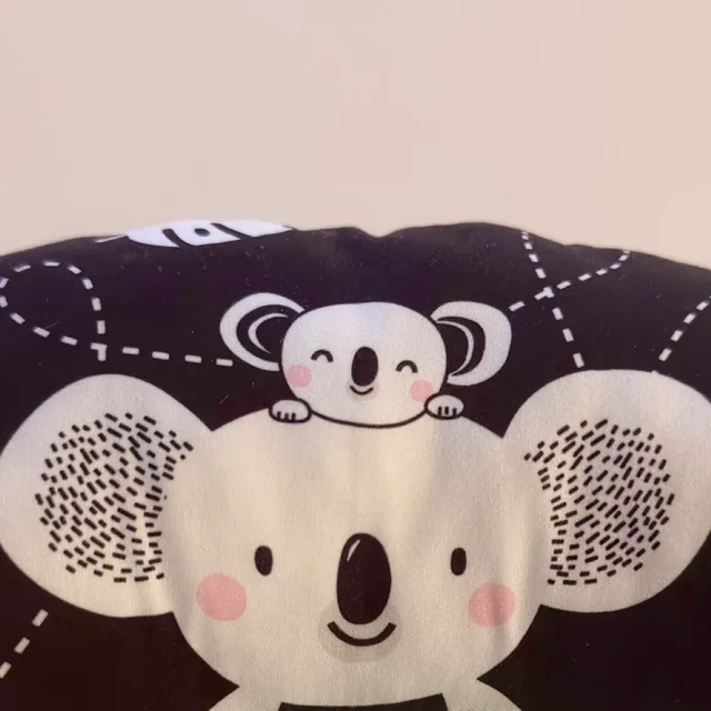 코알라