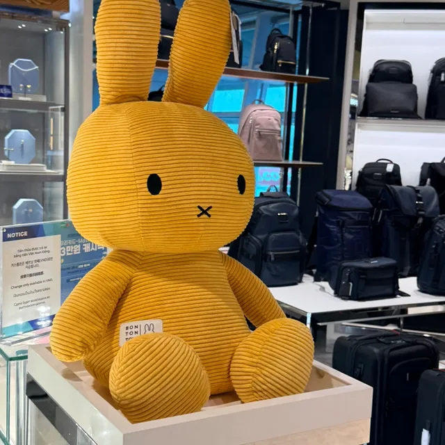 칸토
