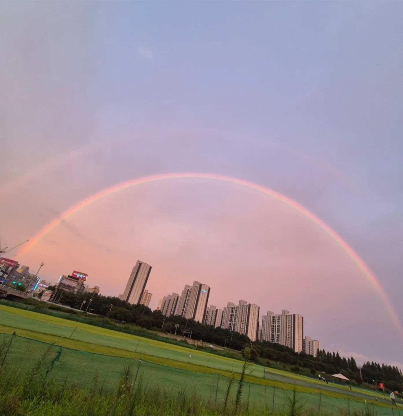 구구