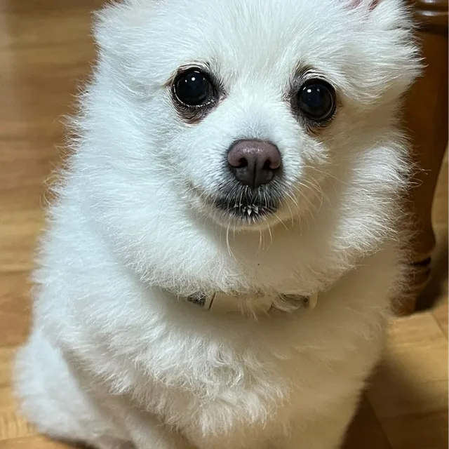 김묵은지