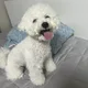 노머니노머슬