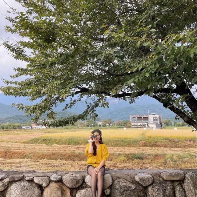 이에프젯