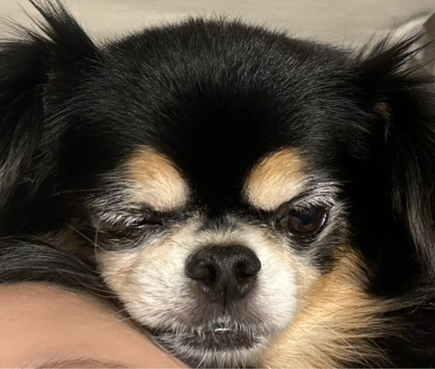 이다
