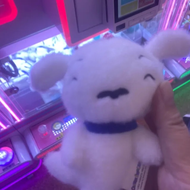 키티우소우소미피박물관