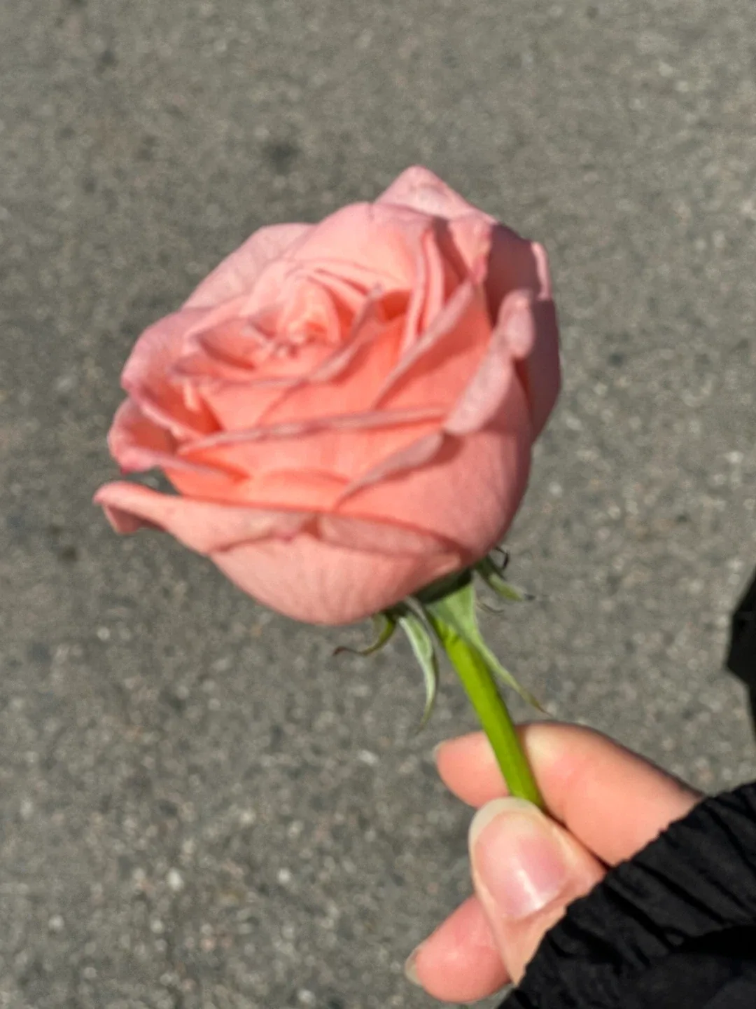 환불안됨