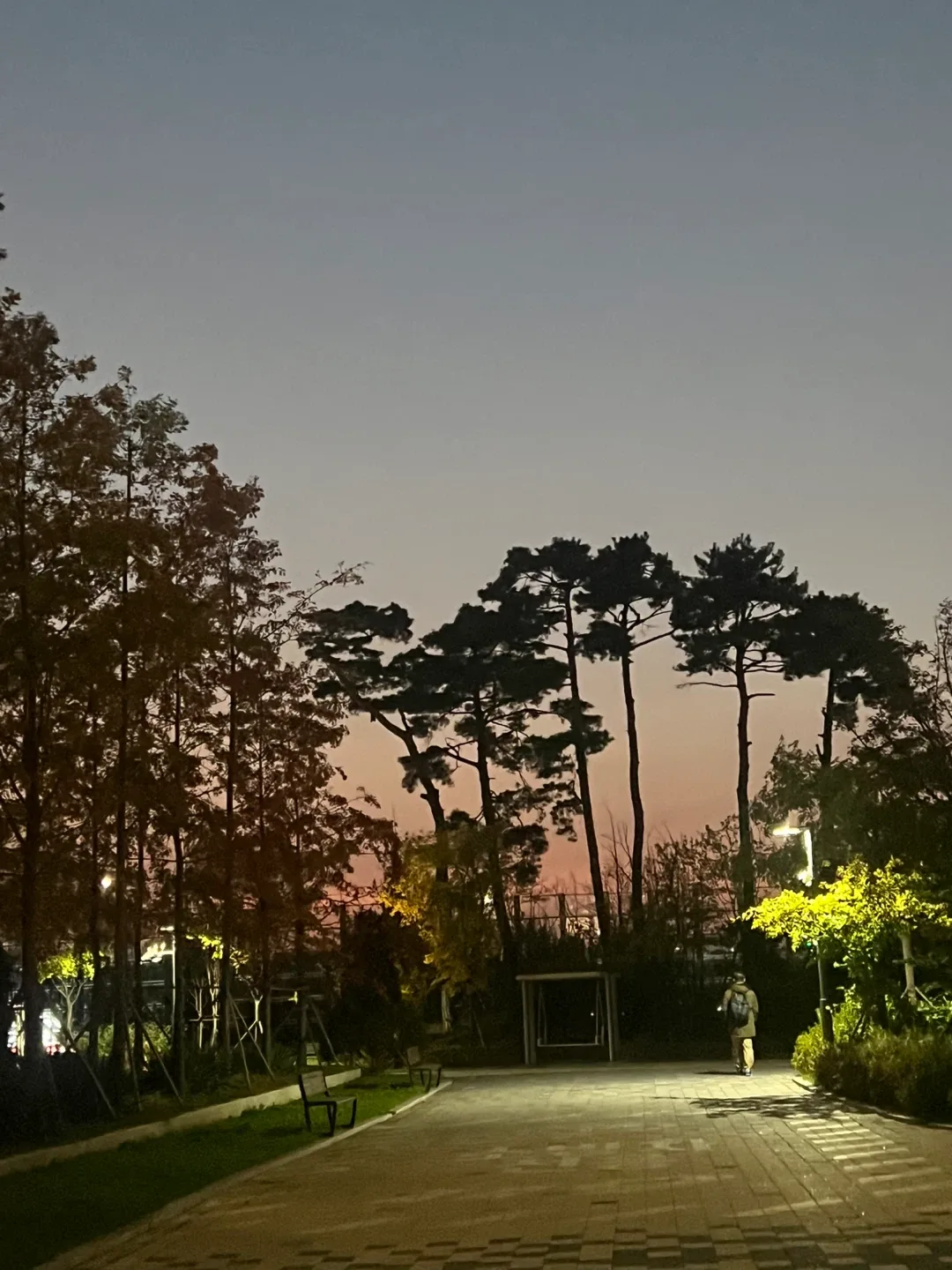 해삐해삐