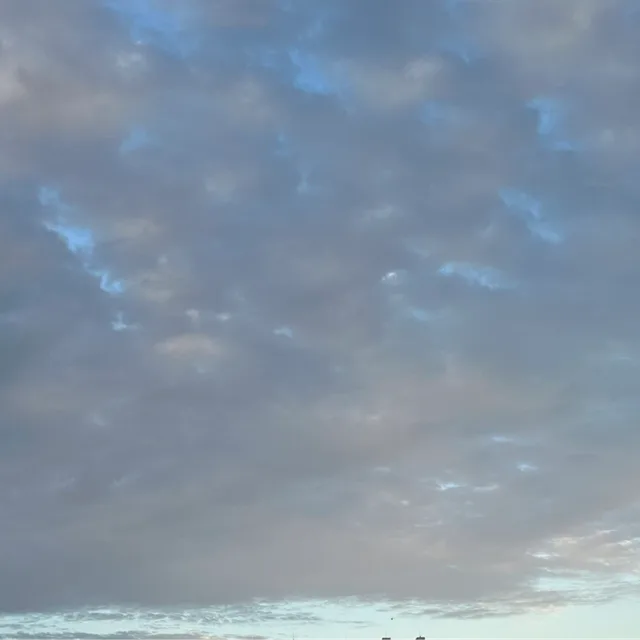 바라건대