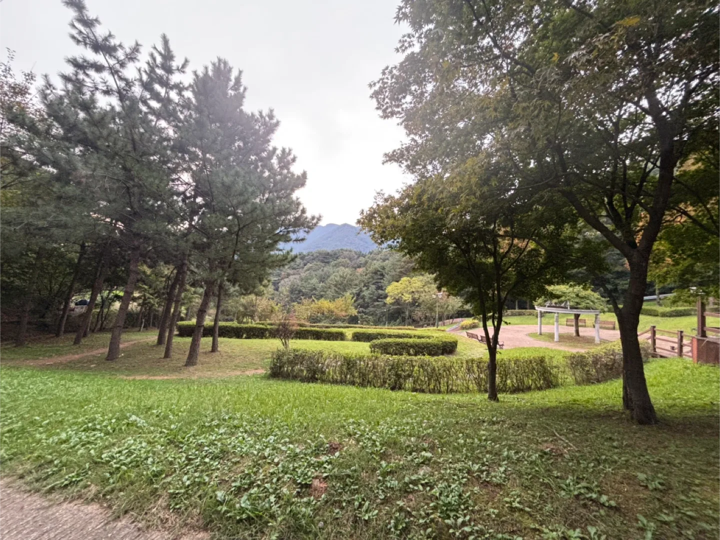 버네나