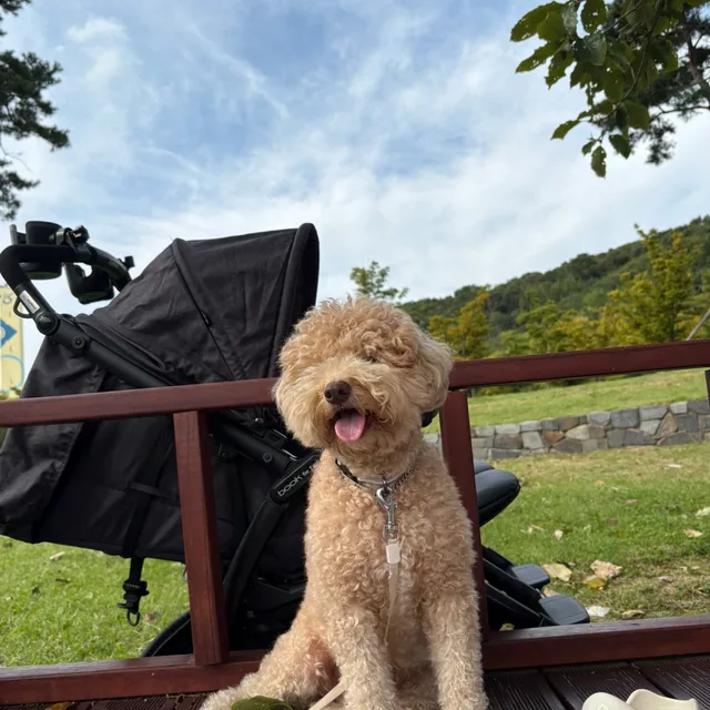 송춘식