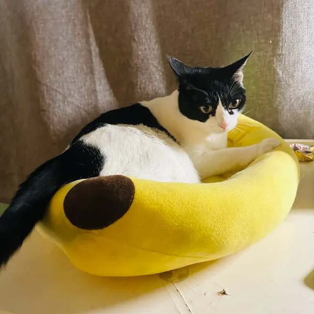 메로나리