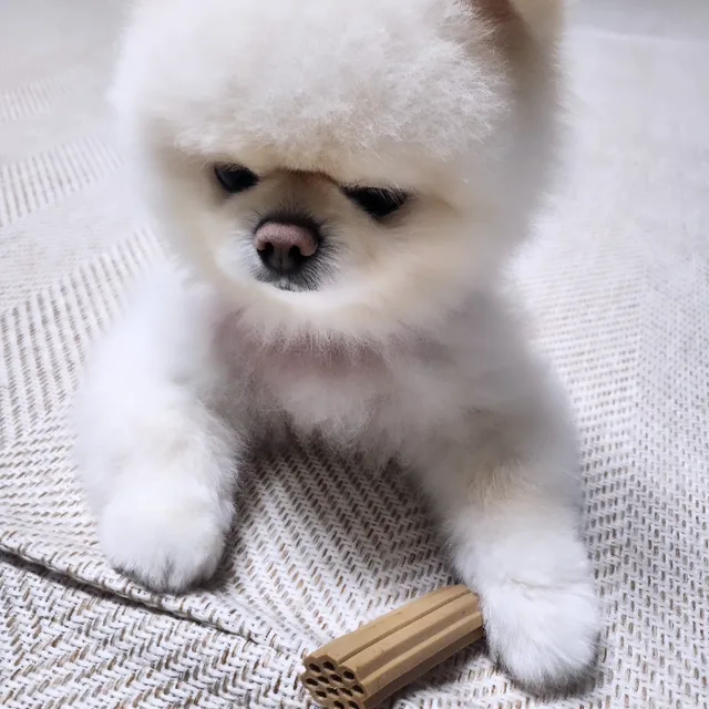 매력덩어리