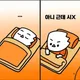 오웬화이트