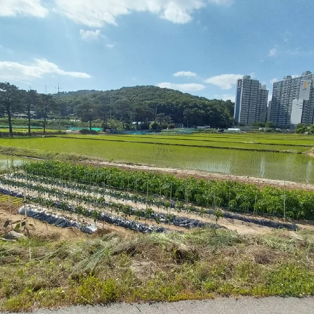김경만