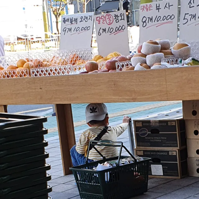 꿀매물지킴이