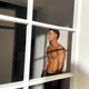 고우고우