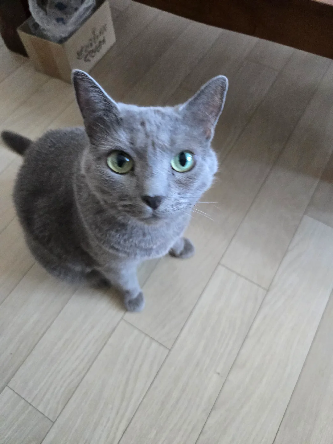 루이