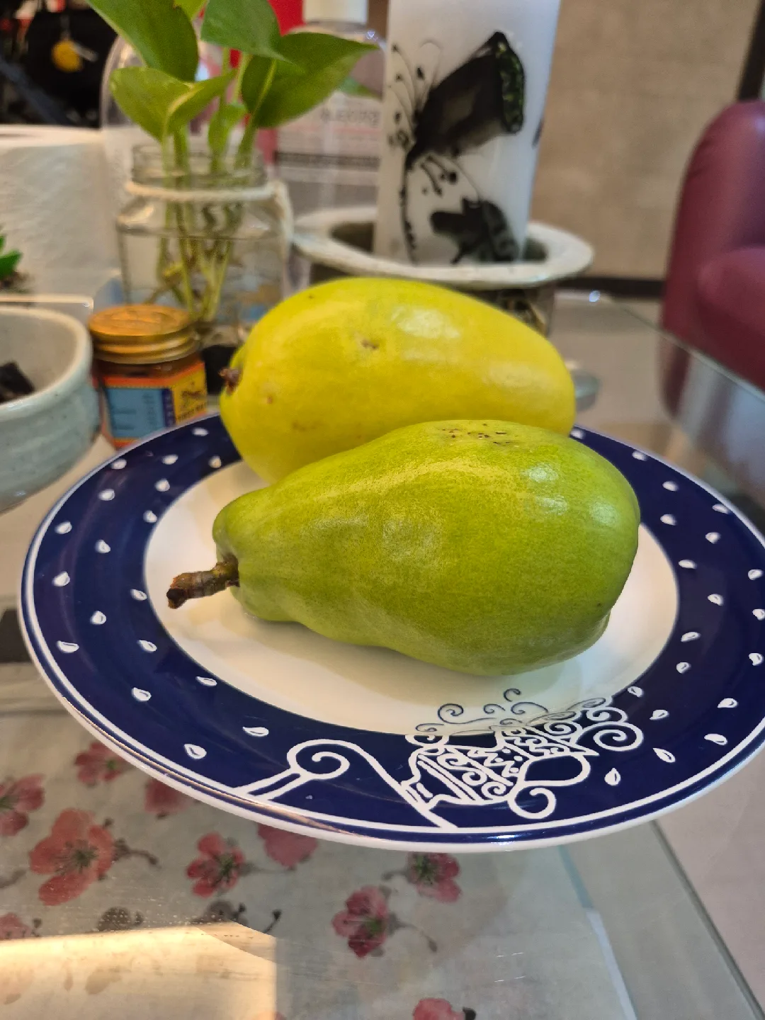 Lee마실