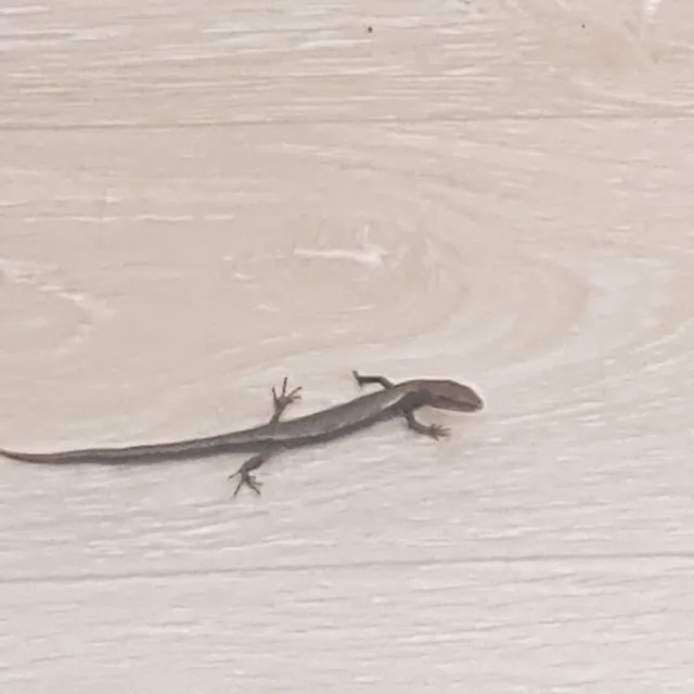 으힣힣
