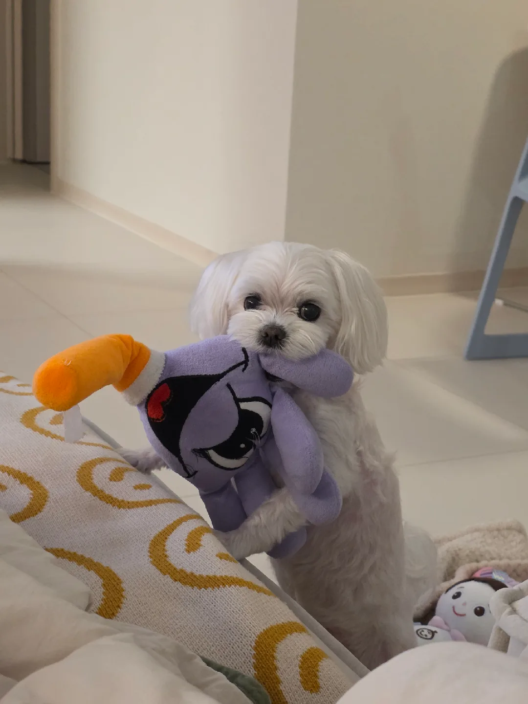 쑨쑨