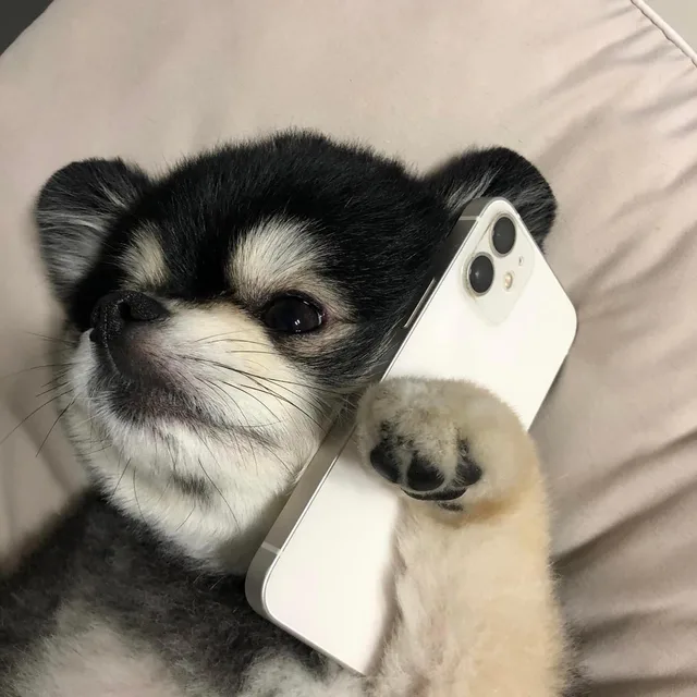 어흥