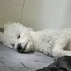우영엔앰프레시