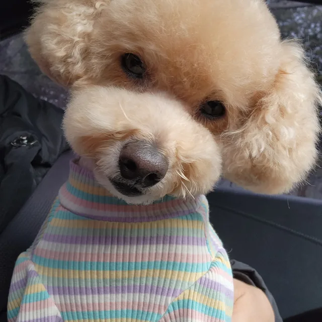 복만이엄마