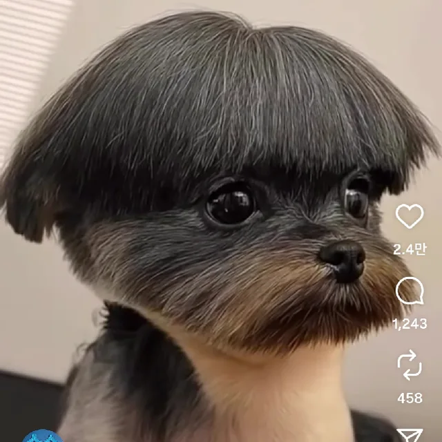 젠젠이