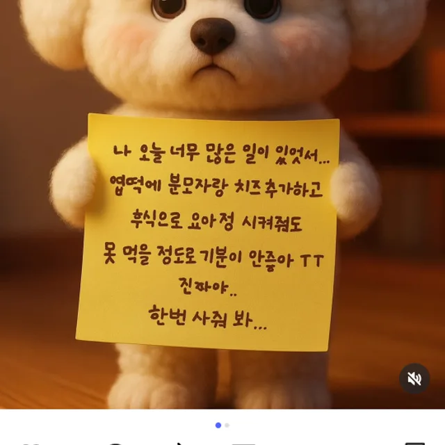 순금공주
