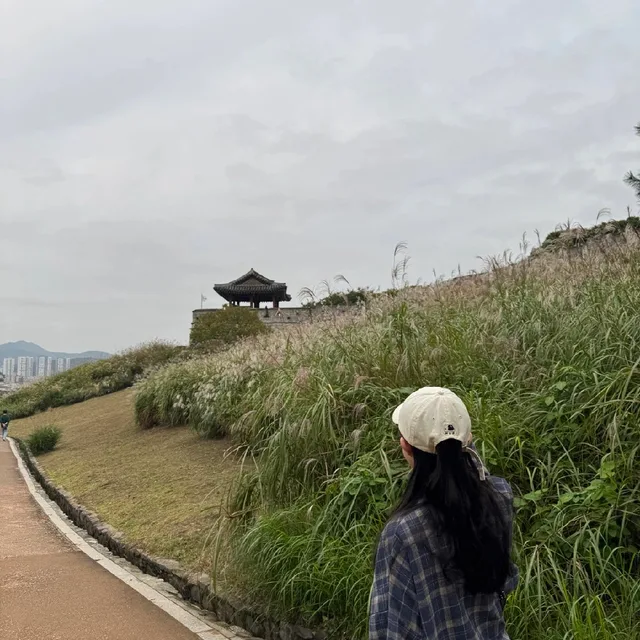 탱구