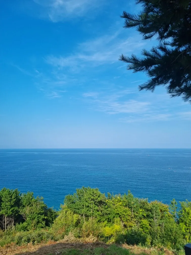 호수