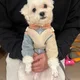 지누네