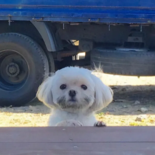 이건너무한거아니냐고
