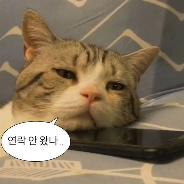 구직중