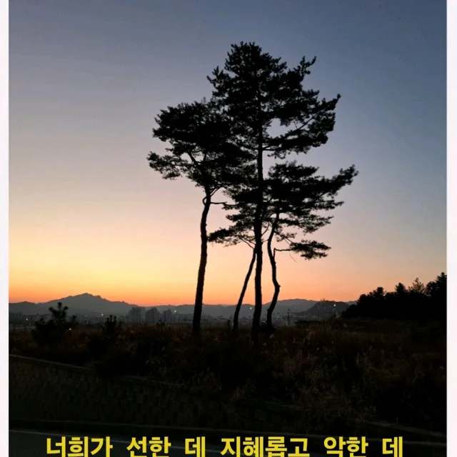 수박