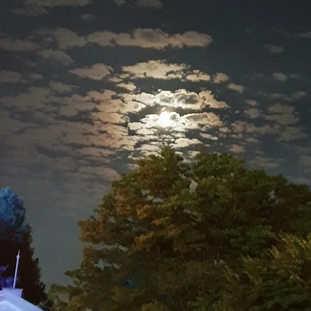 2022아자아자