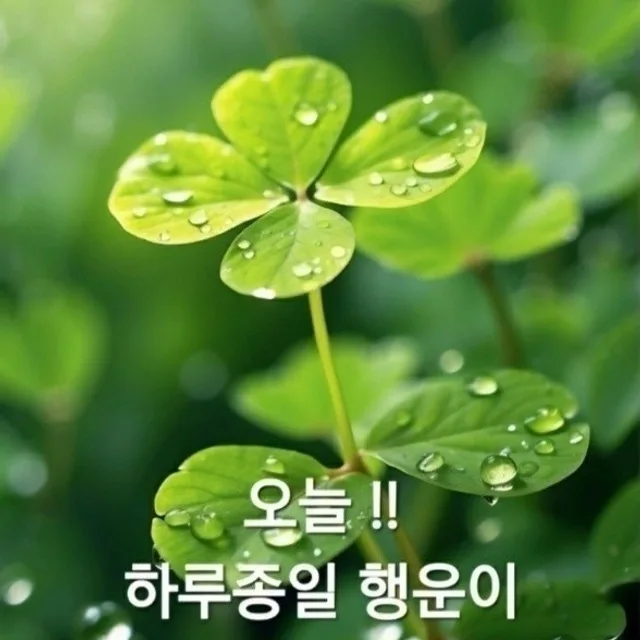 행운aaaa123r5