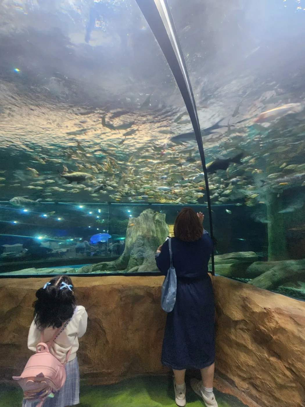 뉴리뉴리