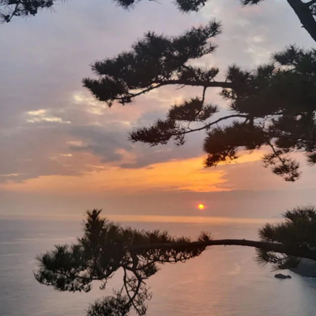 대교하나